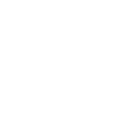 Ópera 29